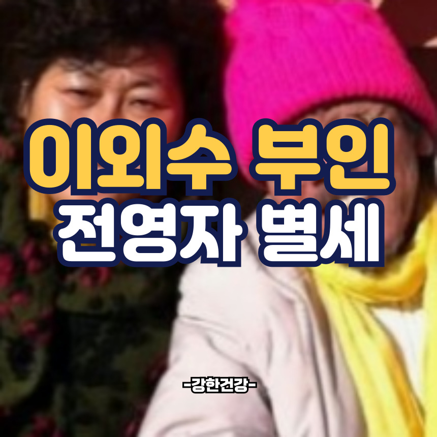 이외수 부인 전영자 별세