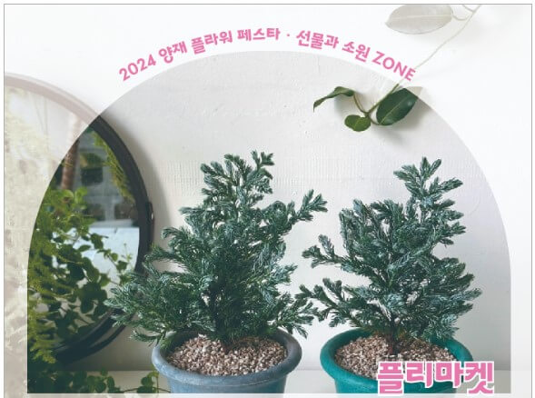 플래니스트