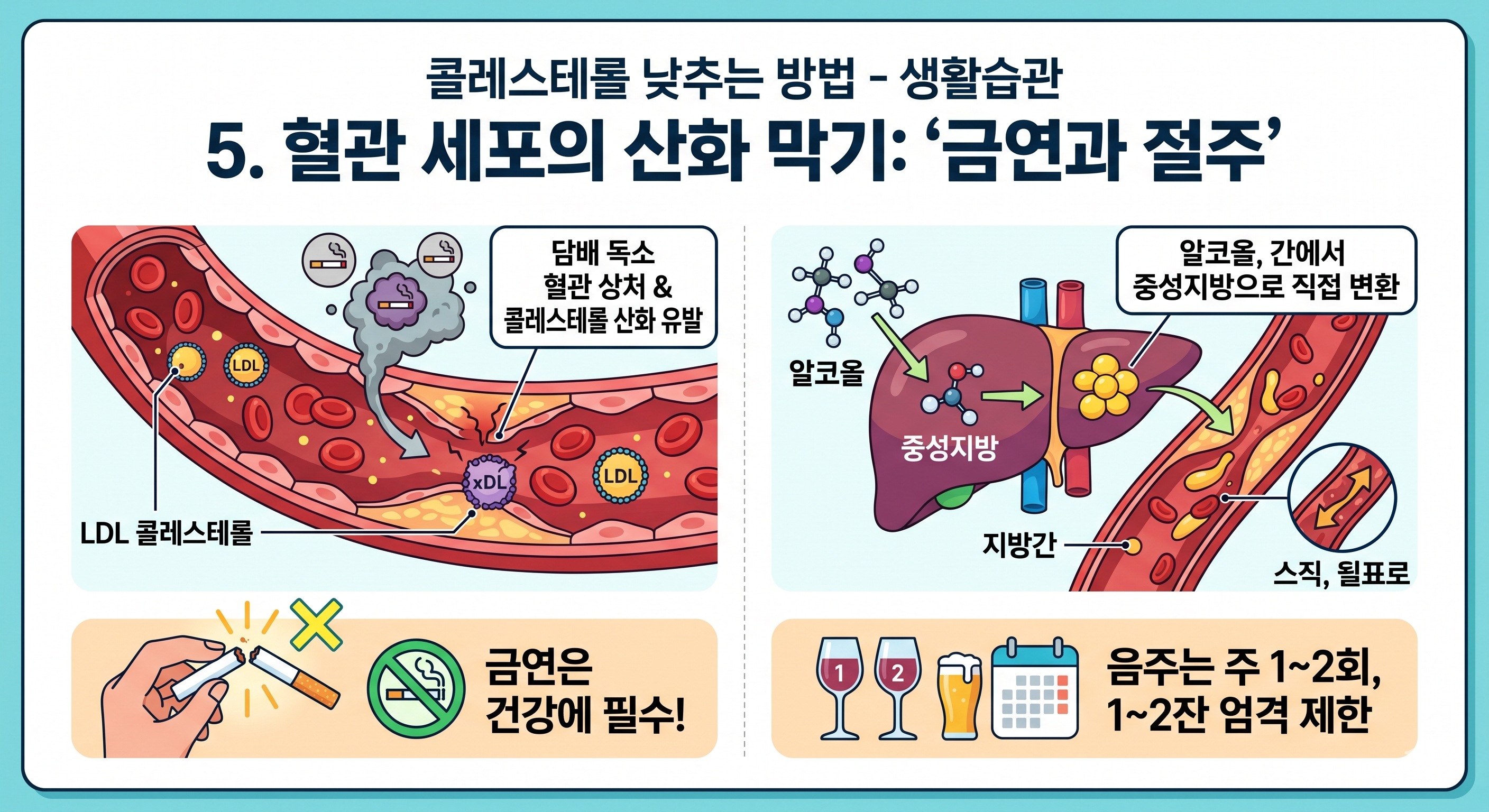 콜레스테롤 낮추는 방법의 핵심은 금연과 절주!
