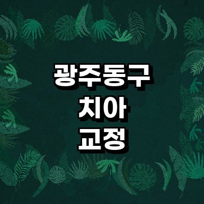 광주 동구 교정 치과