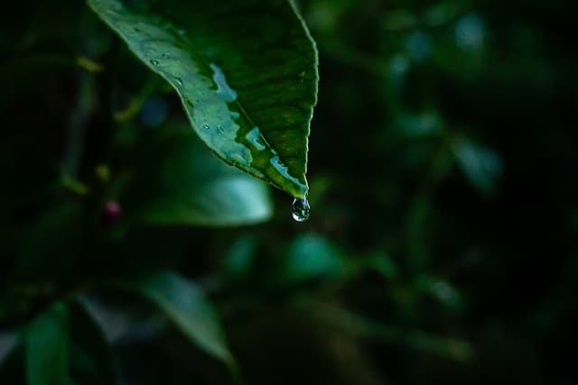 항소심에서 진술을 번복한 증인의 신빙성 판단 방식