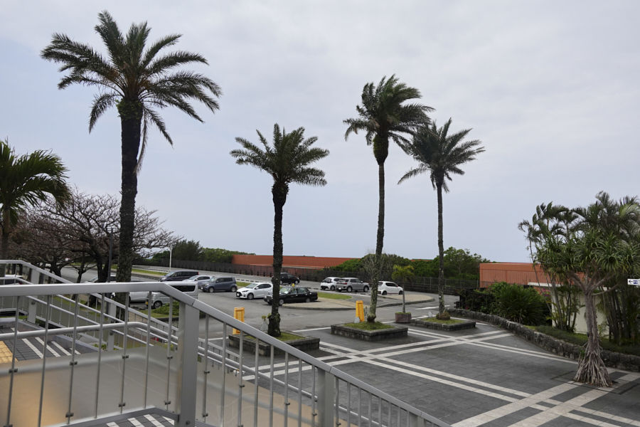 오키나와 츄라우미 수족관 산책코스2