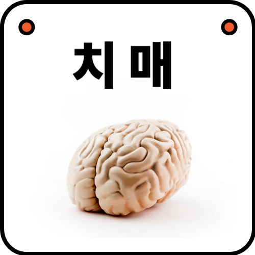 치매