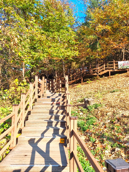 원주 소금산 그랜드밸리, 소금산 출렁다리, 소금산 울렁다리, 잔도길