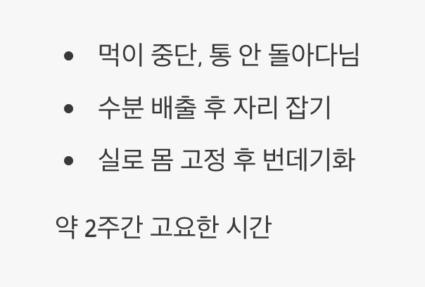 4. 날갯짓을 준비하는 고요한 기다림