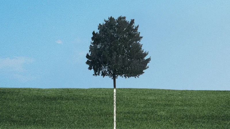 HBO 드라마 공식 포스터&스틸컷