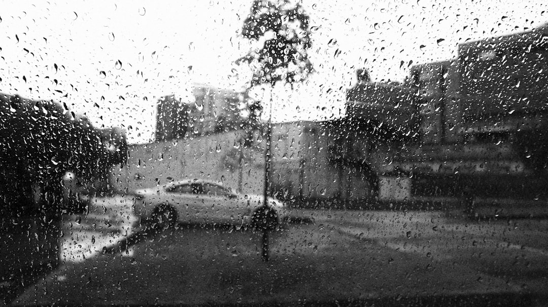 Rain.