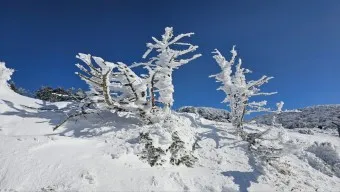 한라산 등반코스 쉬운코스 추천_13