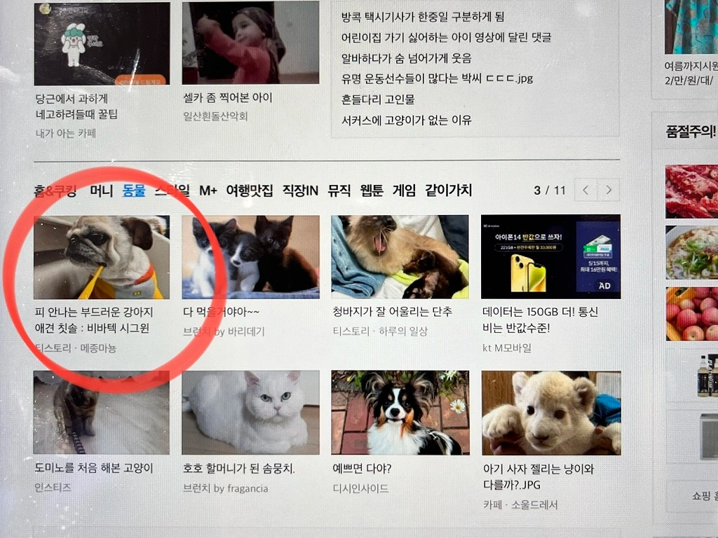 다음-포털-사이트-메인에-노출된-포스팅