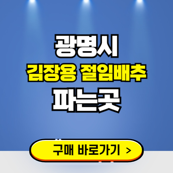 광명시 절임배추 사전예약 구입하는곳 ❘ 김장배추 파는곳 가격보기