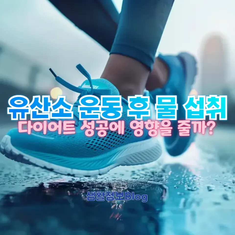 다이어트 중 물 섭취 가이드