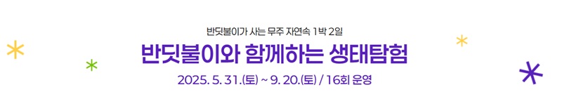 반딧불이와 함께하는 생태탐험