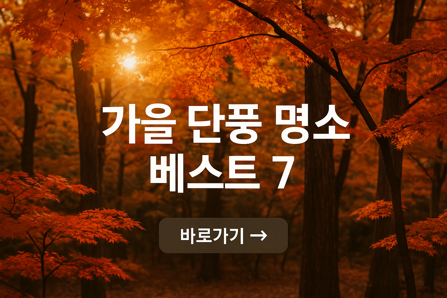 가을 단풍 절정 시기와 전국 가을 단풍 명소 관련사진