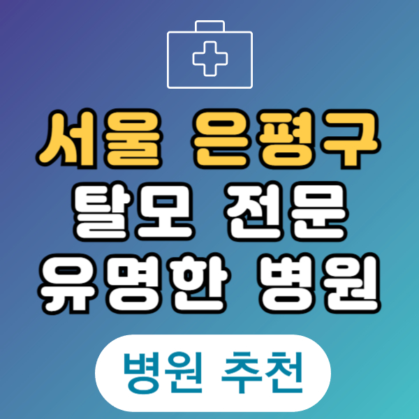 서울 은평구 탈모 전문 병원 두피 탈모관리 잘하는 곳 추천 List