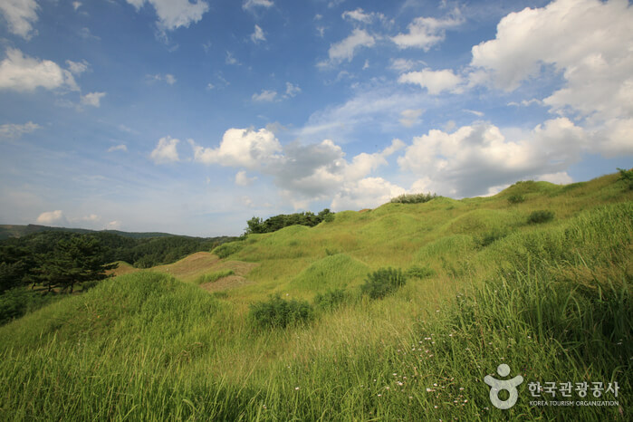 대구 가볼만한 단풍 여행은 어디일까? 대구 단풍 여행 총정리!