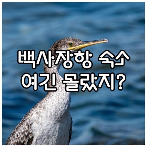 안면도 가볼만한곳 백사장항 주변 숙소..