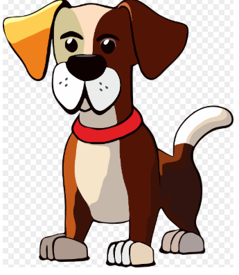 2025년 띠별 운세 총정리