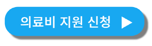 2024 청소년 임신·출산 지원금 활용 가이드