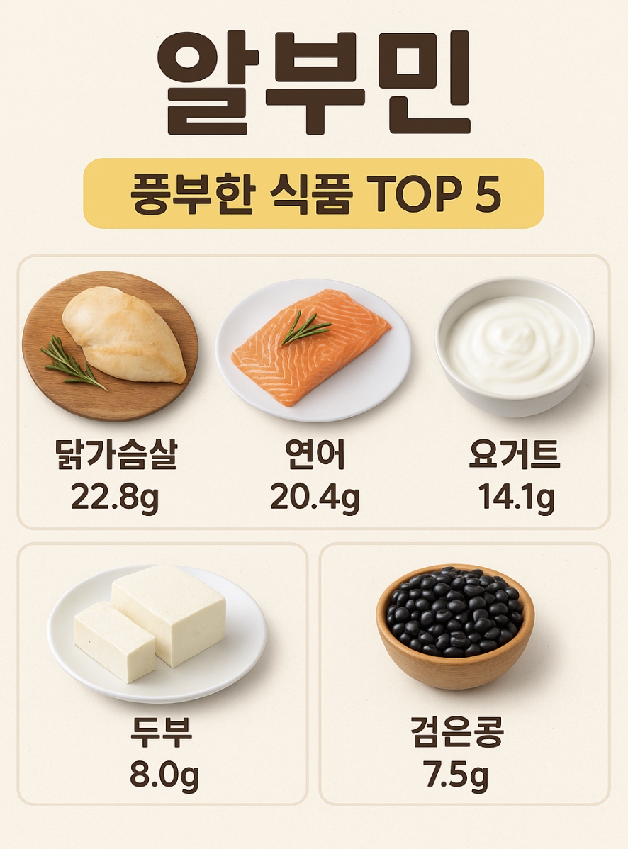 알부민
