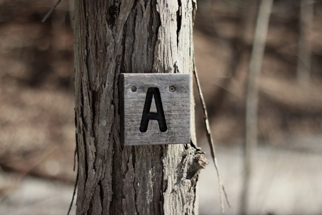 Authentication