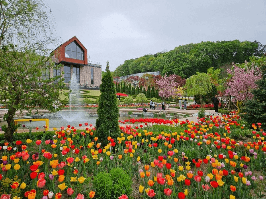 용인 자작나무 숲 봄 꽃 축제, 봄 날의 감성에 물들다!