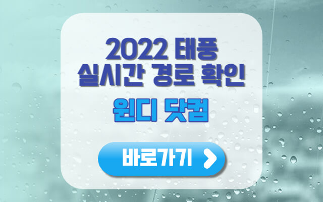 윈디닷컴 바로가기