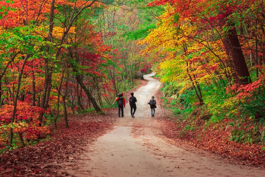지리산