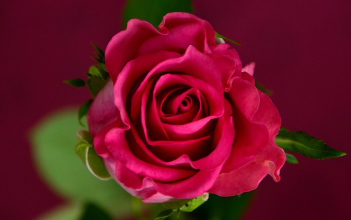 블랙이글스 에어쇼 1