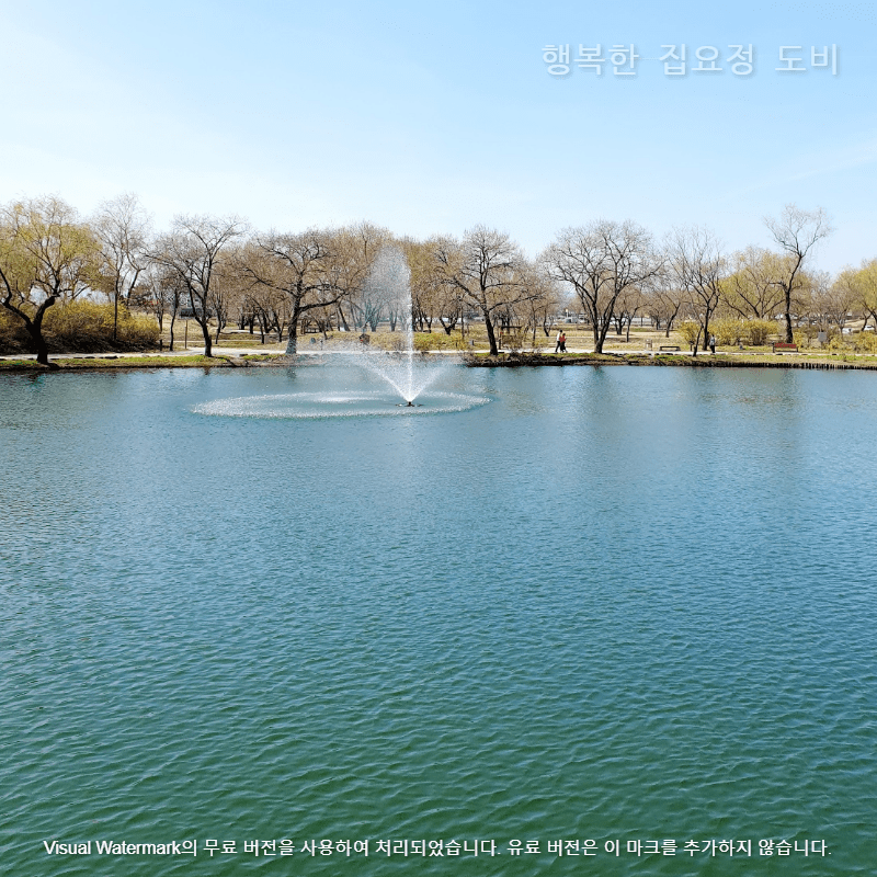 궁남지분수