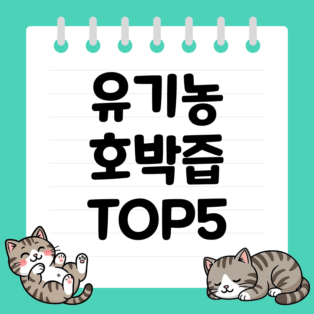 붓기 완화에 도움 주는 유기농 호박즙 추천 TOP5