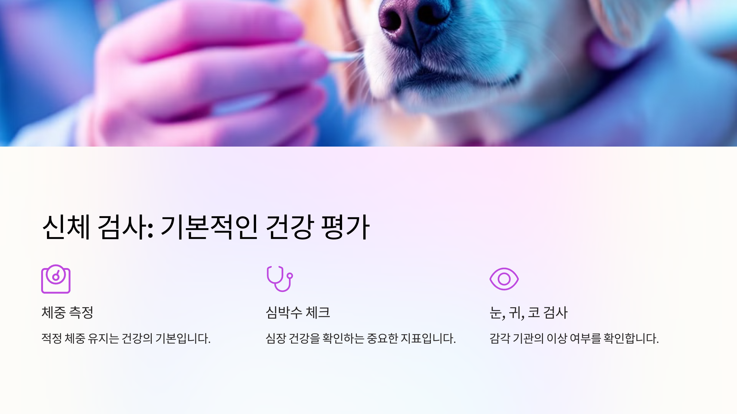 신체 검사