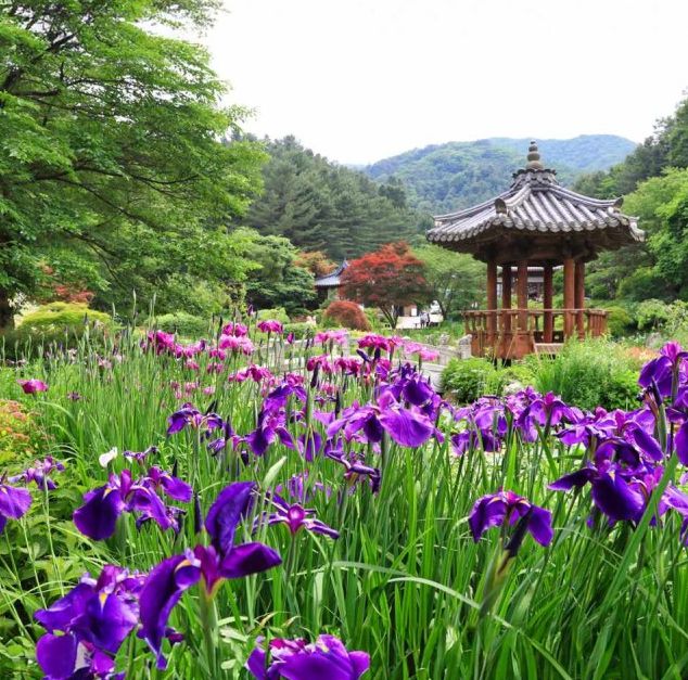 아침고요수목원