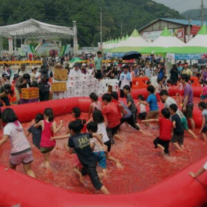 퇴촌 토마토 축제 행사