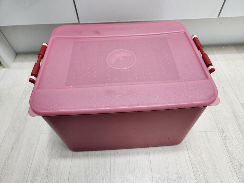 김치통 담기