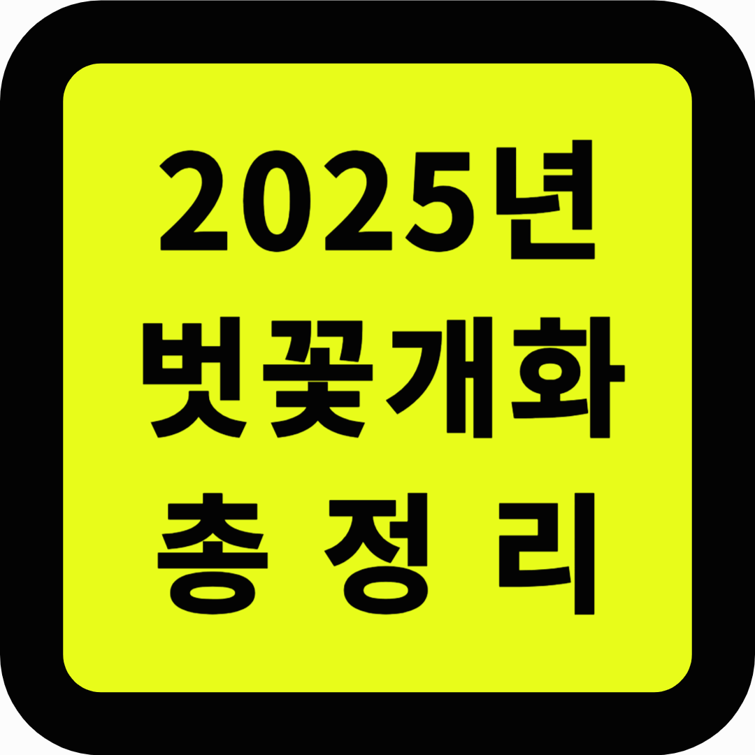 2025 벗꽃개화 총정리