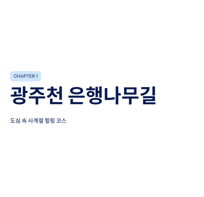 광주광역시 근교 산책·달리기·트레킹 명소 완벽 가이드 | 주말 액티비티 추천