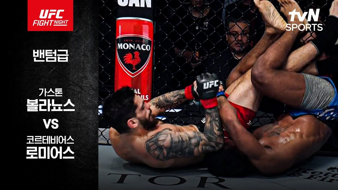 이창호 UFC 데뷔전