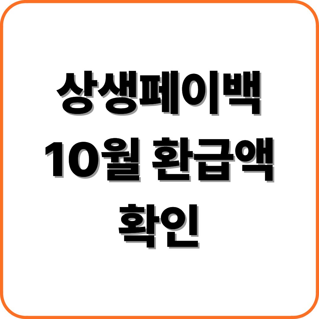 상생페이백 10월 환급액 확인