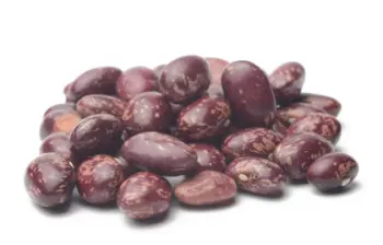 호랑이콩 효능 및 영양성분, 가격