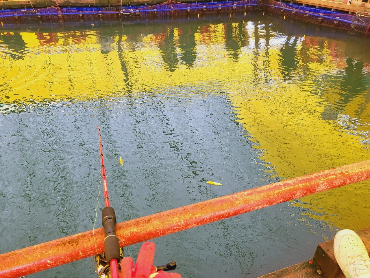 서해가볼만한곳 당진 서산 고려호 좌대 낚시 쇼핑몰 낚시대 없이 이용 가능 아이와가볼만한곳 충남가볼만한곳 아이랑갈만한곳 이색데이트 대한민국구석구석 물때표