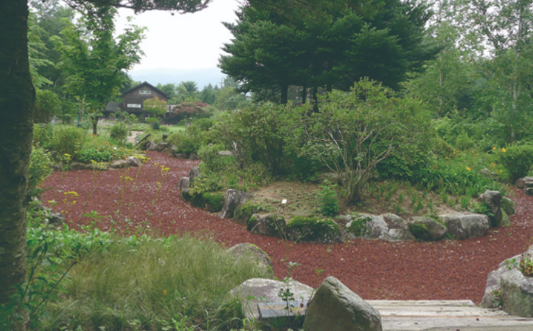국립한국자생식물원