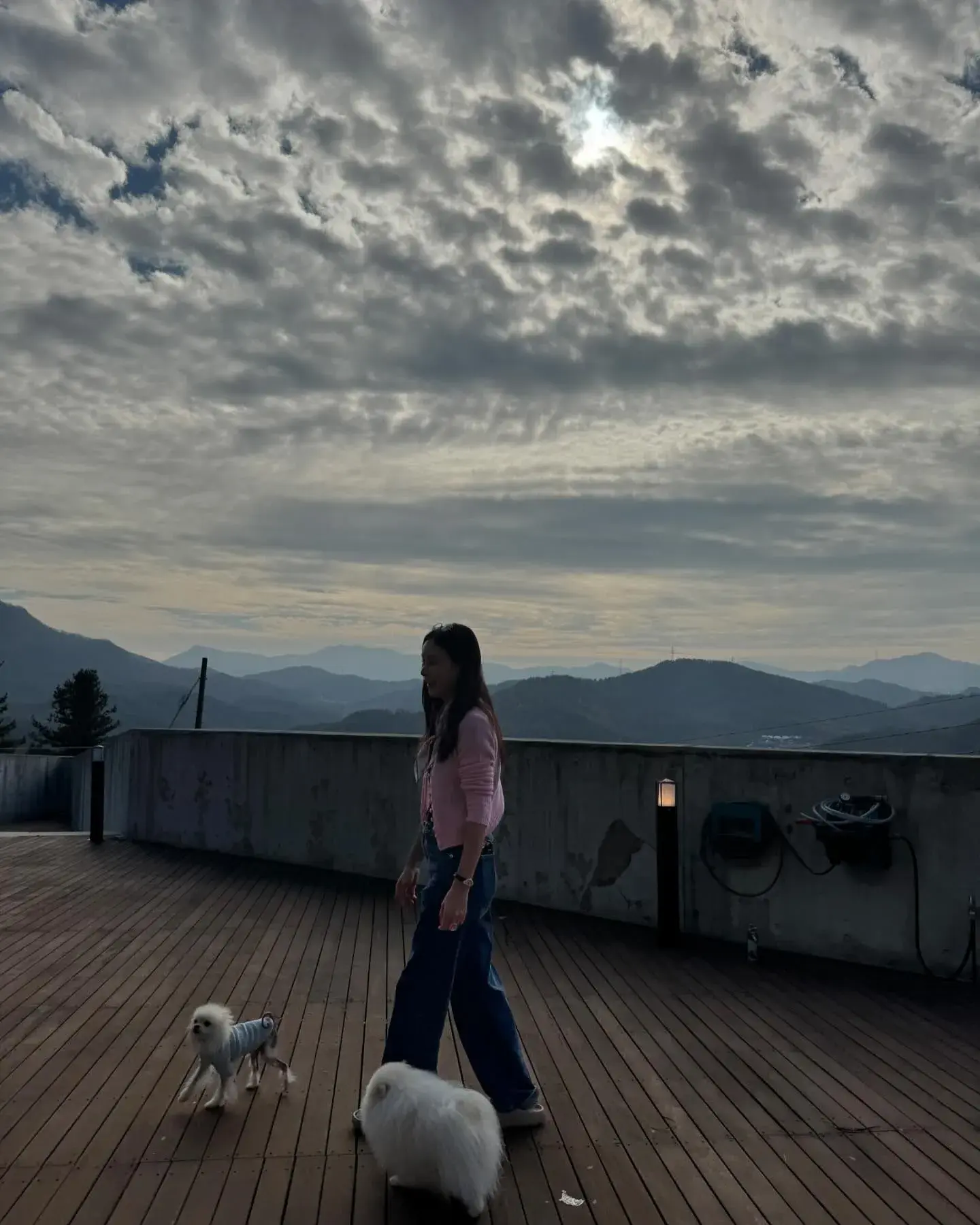 TV조선 고소영 리얼리티 신규 예능 출연 & 별장 공개 예정 방송 방영일 일정 내용 경기도 가평 장동건