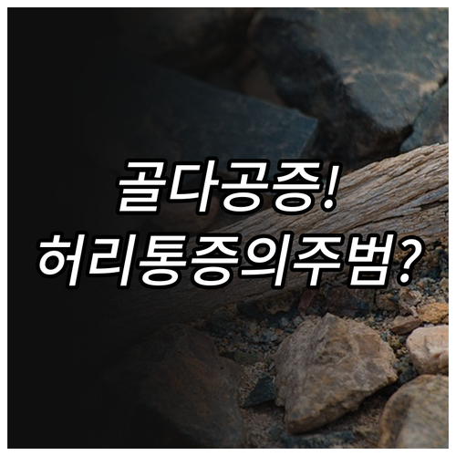 허리 통증 유발하는 골다공증, 미세 ..