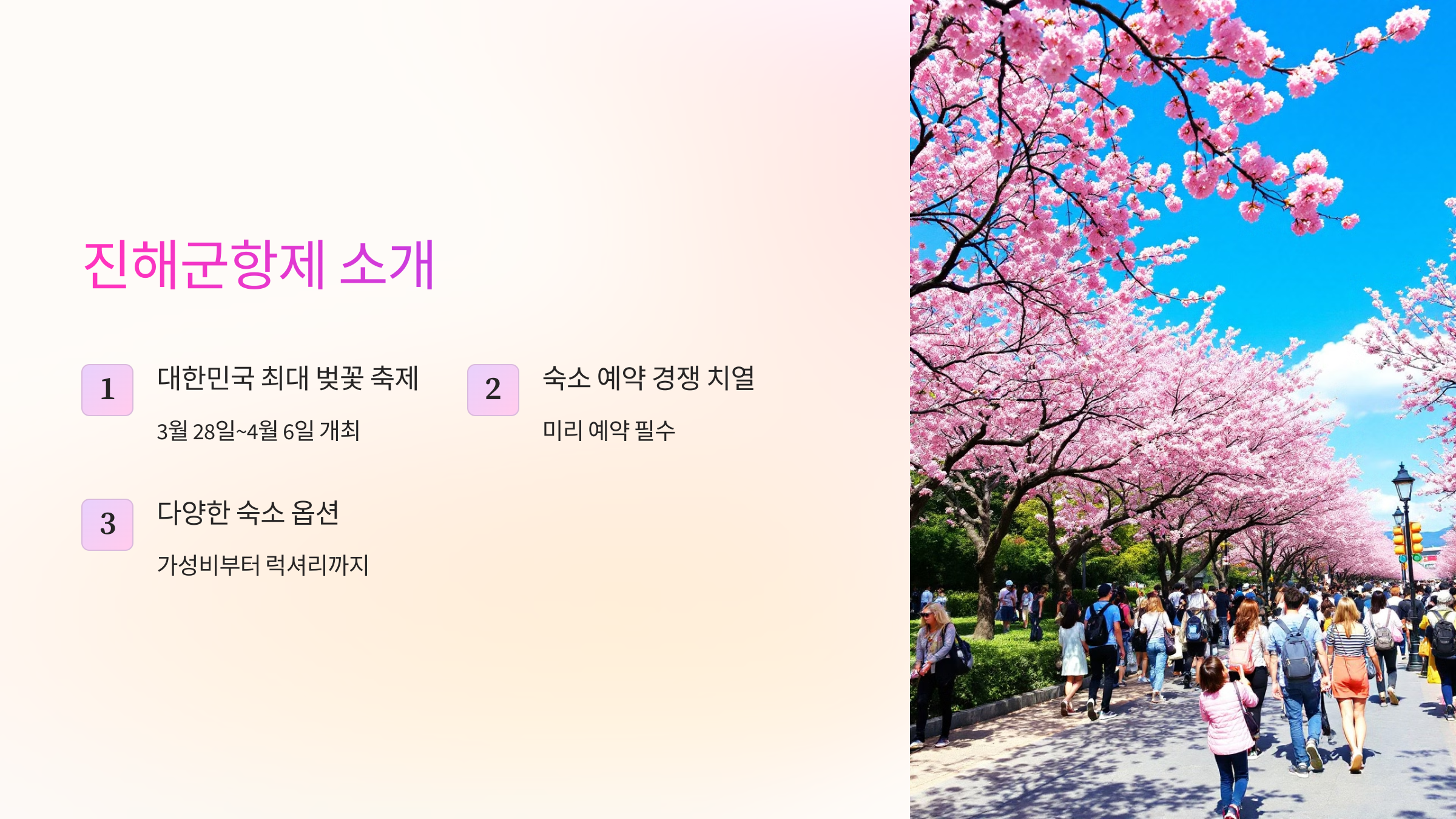 대한민국 최대 벚꽃 축제