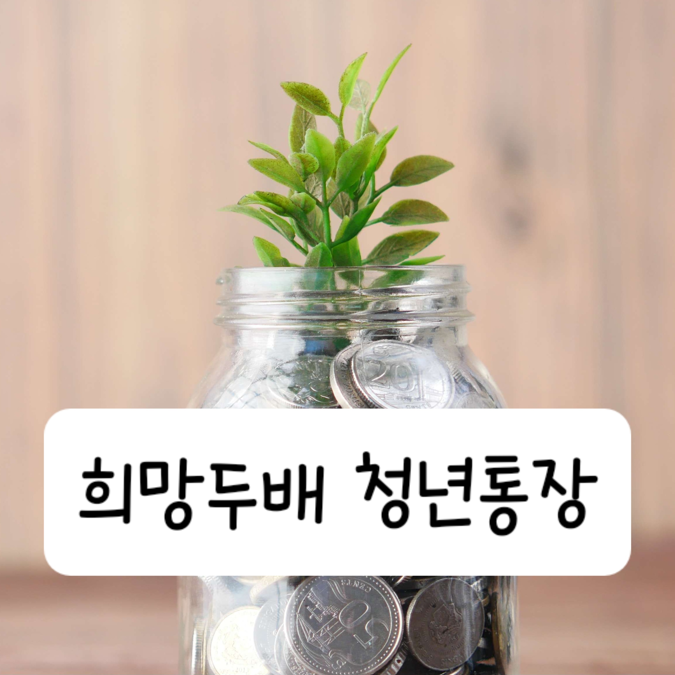 희망두배 청년통장