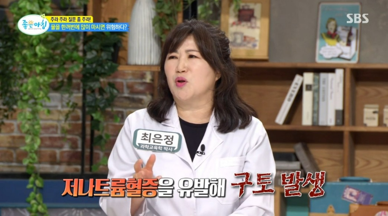 물 섭취 소문 진실