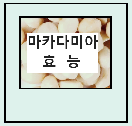 마카다미아