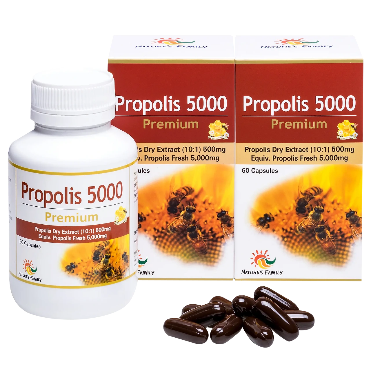 프로폴리스 효능