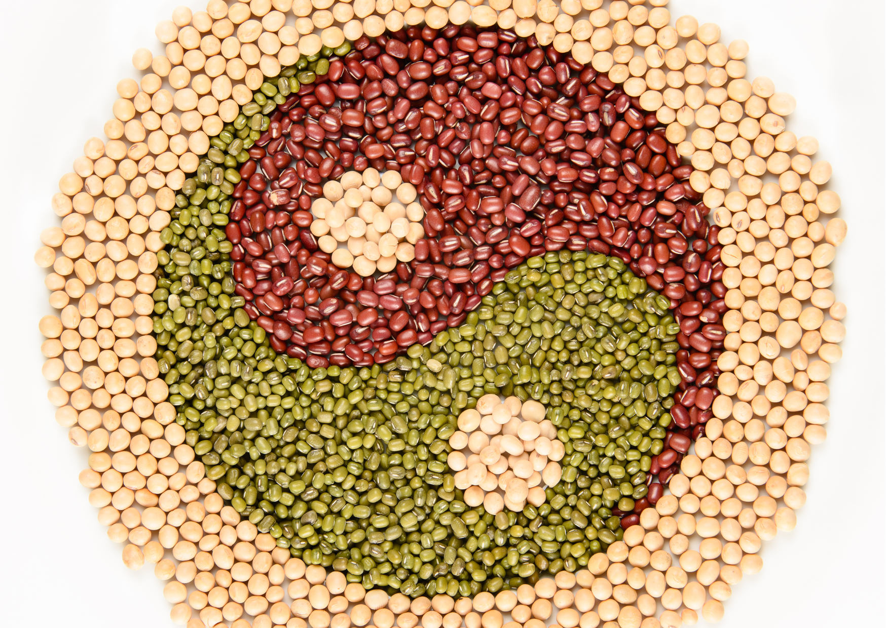 보모복과 자식복 많은 사주 관련 사진