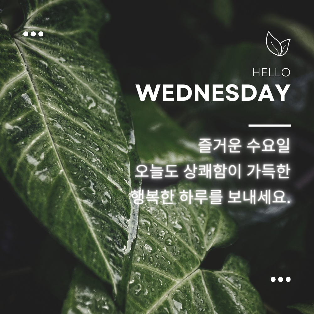 수요일 인사말 문구 이미지 모음